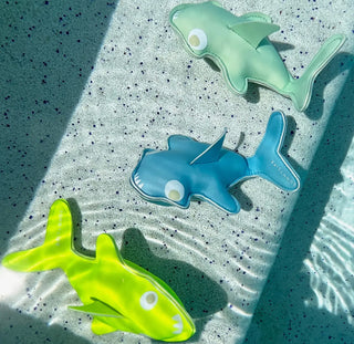dive buddies - sharks