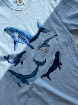 sea of the eye graphic tee