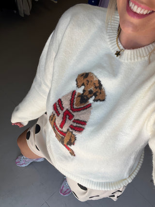 dog gone game day sweater