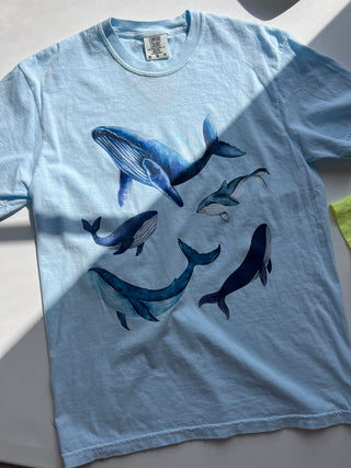 sea of the eye graphic tee