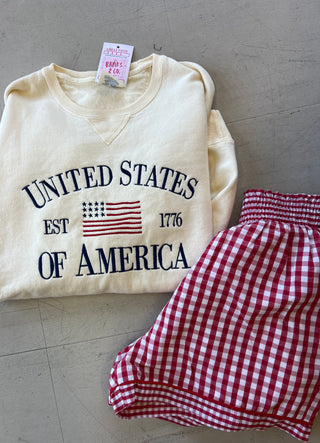 you caught me red gingham shorts